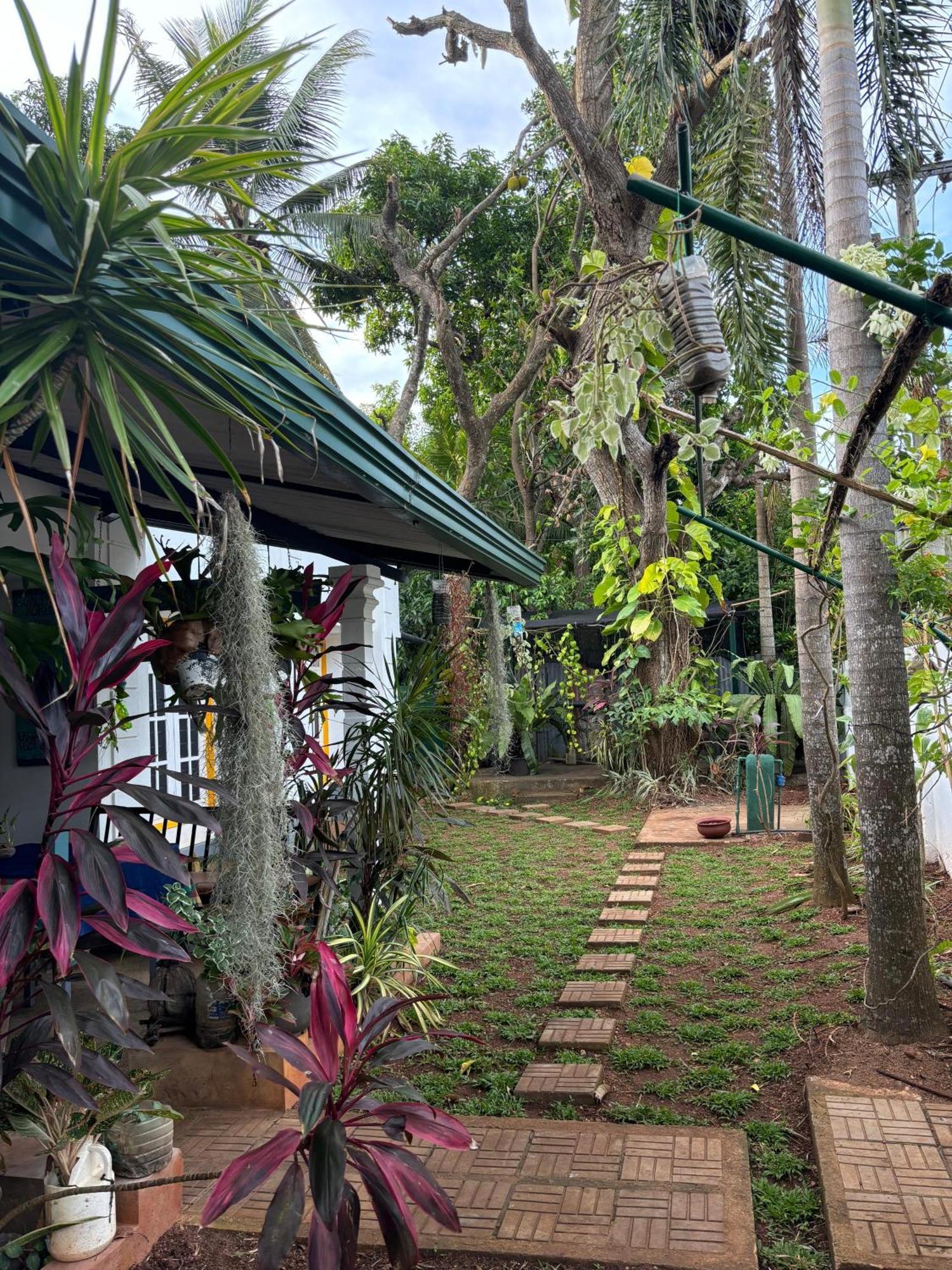 Goalma Family Holiday Resort & Restaurant 阿努拉德普勒 外观 照片